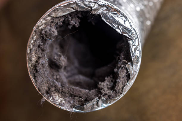 Best Commercial Air Duct Cleaning  in Westmorland, CA