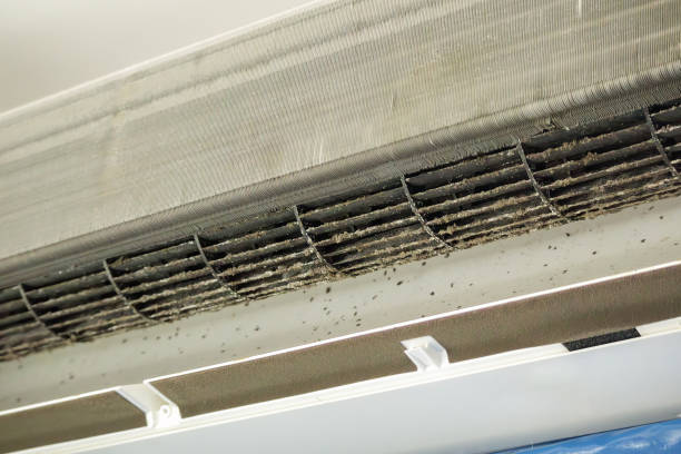 Best Affordable Air Duct Cleaning  in Westmorland, CA